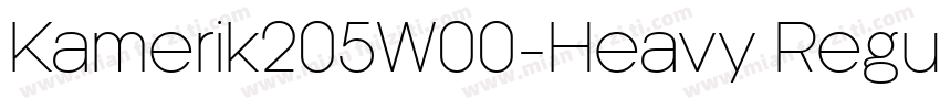 Kamerik205W00-Heavy Regular字体转换